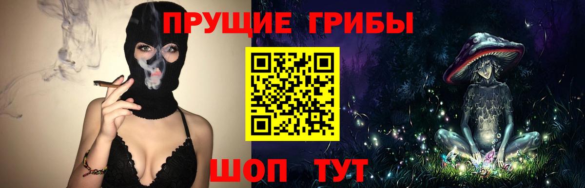 Галлюциногенные грибы Psilocybe Обнинск